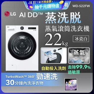 LG AI DD™蒸氣滾筒洗衣機 (蒸洗脫)｜22公斤｜WD-S22FW (冰瓷白)