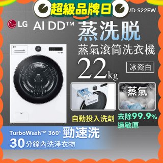 LG AI DD™蒸氣滾筒洗衣機 (蒸洗脫)｜22公斤｜WD-S22FW (冰瓷白)