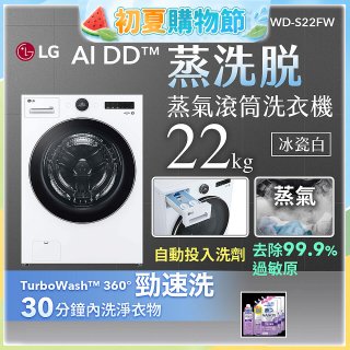 LG AI DD™蒸氣滾筒洗衣機 (蒸洗脫)｜22公斤｜WD-S22FW (冰瓷白)