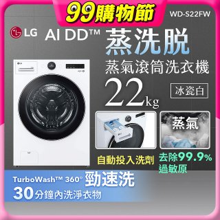 LG AI DD™蒸氣滾筒洗衣機 (蒸洗脫)｜22公斤｜WD-S22FW (冰瓷白)