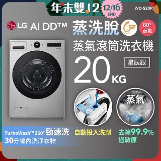 LG AI DD™蒸氣滾筒洗衣機 (蒸洗脫)｜20公斤｜WD-S20FS (星辰銀)