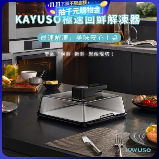 KAYUSO 極速回鮮解凍器 KA-JY240801