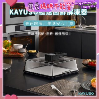 KAYUSO 極速回鮮解凍器 KA-JY240801