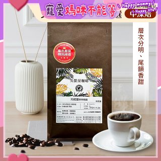 震旦嚴選 光能量咖啡豆 雨林系列-光能量 雨林精選(1磅) 中深焙HX-TB-08