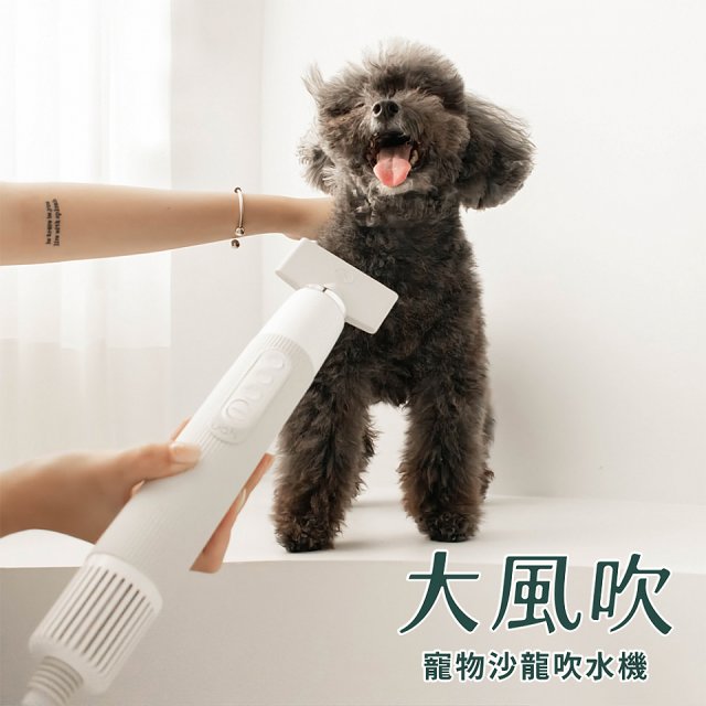 uah有哈 大風吹 寵物沙龍吹水機/吹風機
