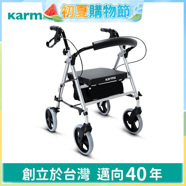 【康揚】輕鬆行100 助行車 EZ Walker 100