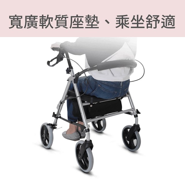 【康揚】輕鬆行100 助行車 EZ Walker 100