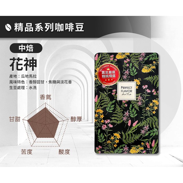 震旦嚴選 光能量咖啡豆 精品系列-花神(半磅) 中焙HX-TB-03