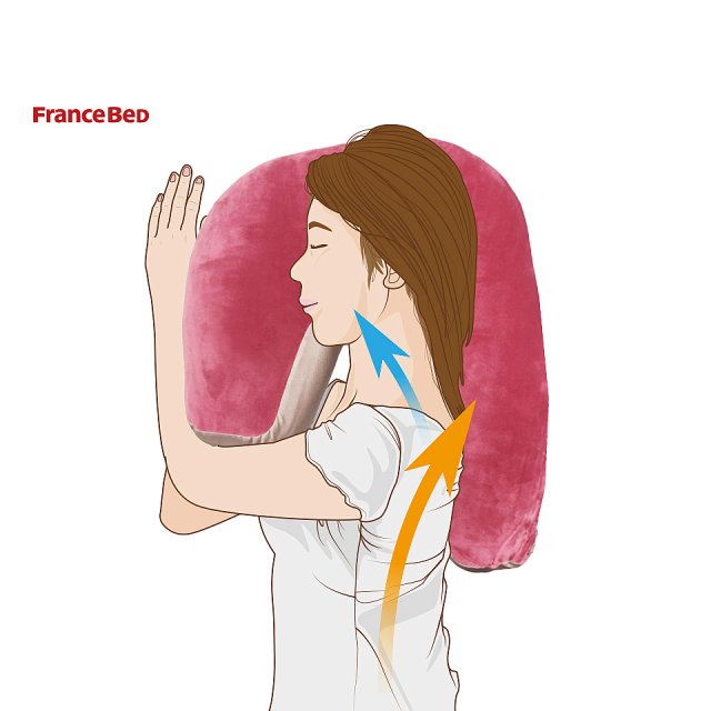 日本FranceBed安眠側睡枕(旗艦版)